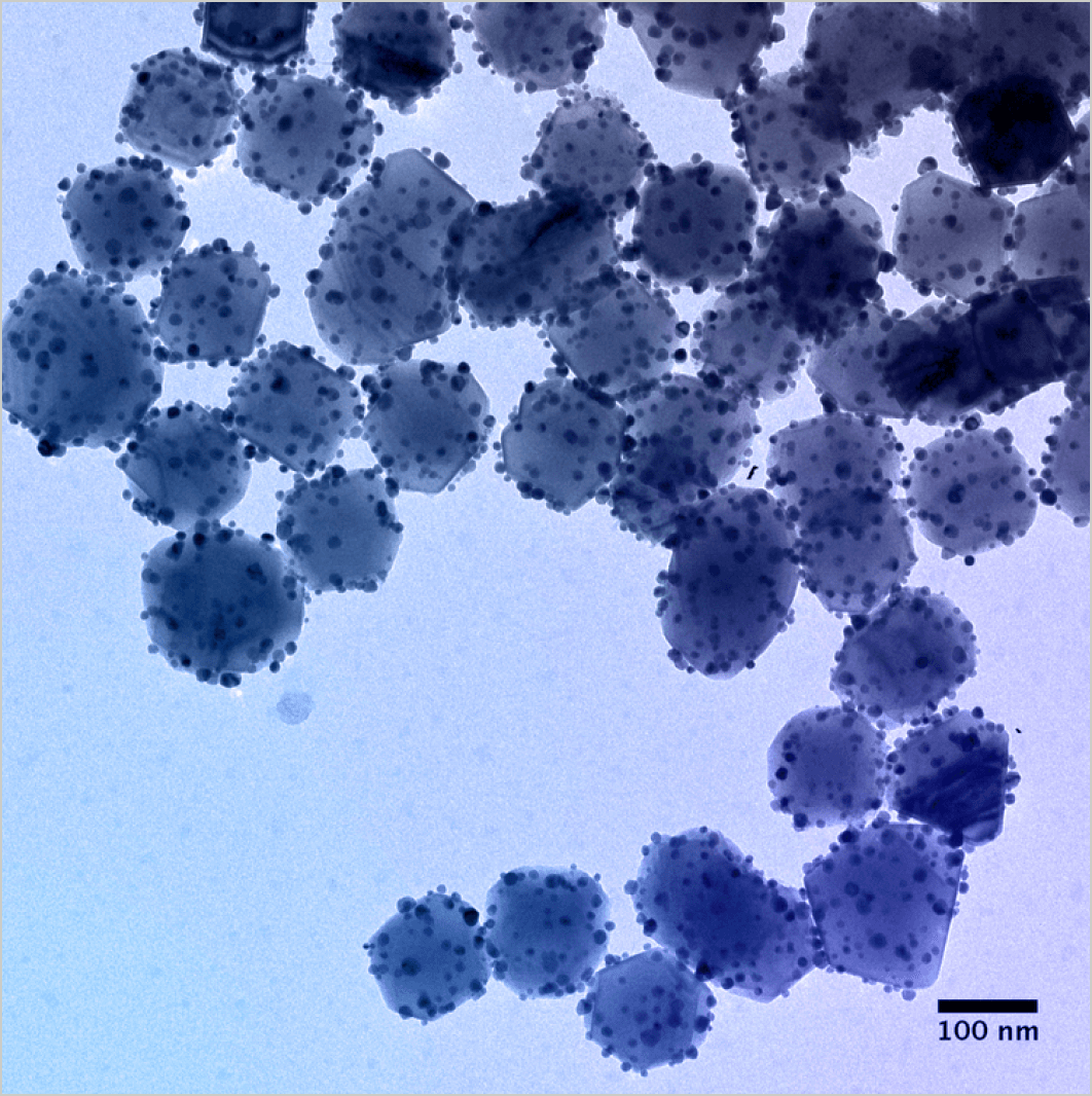 Detail of embedded nanoparticles on the surface of larger light-harvesting plasmonic particles.